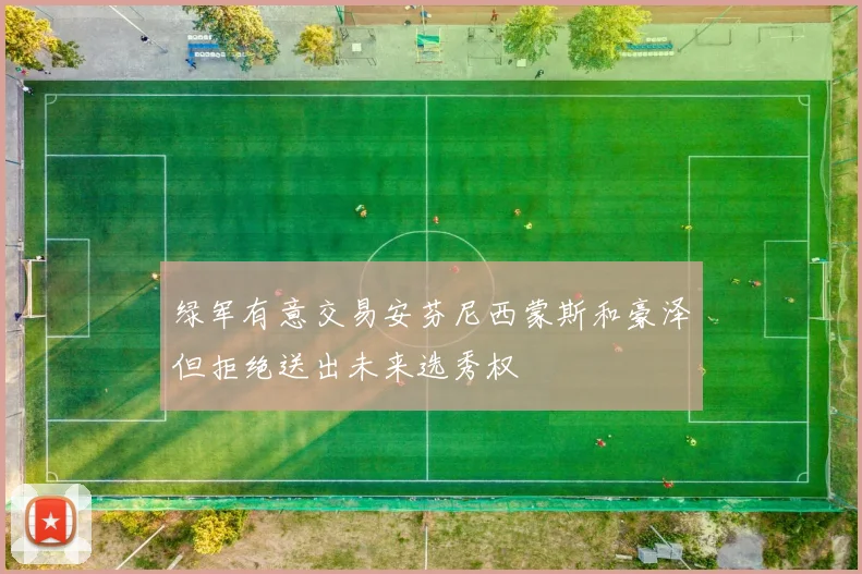 绿军有意交易安芬尼西蒙斯和豪泽但拒绝送出未来选秀权