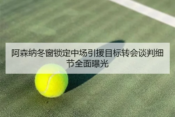 阿森纳冬窗锁定中场引援目标转会谈判细节全面曝光 | kaiyun